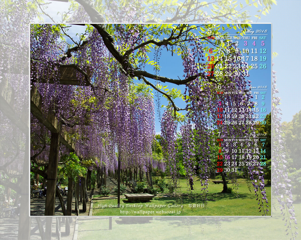 18年5月のカレンダー壁紙 藤の花 高画質デスクトップ壁紙館 写遊好日
