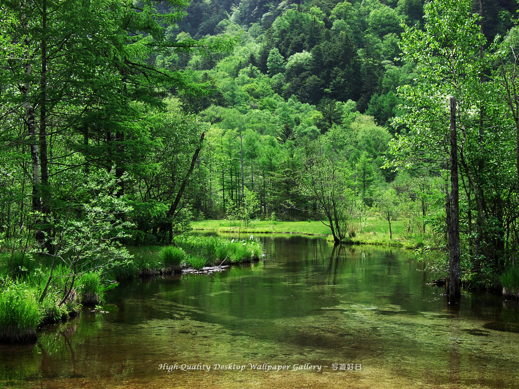 新緑の田代池の高画質・高解像度壁紙／Wallpaper of Kamikochi (1024×768)