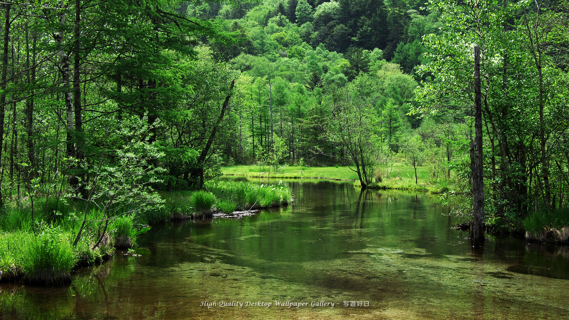 Nature Backgrounds w