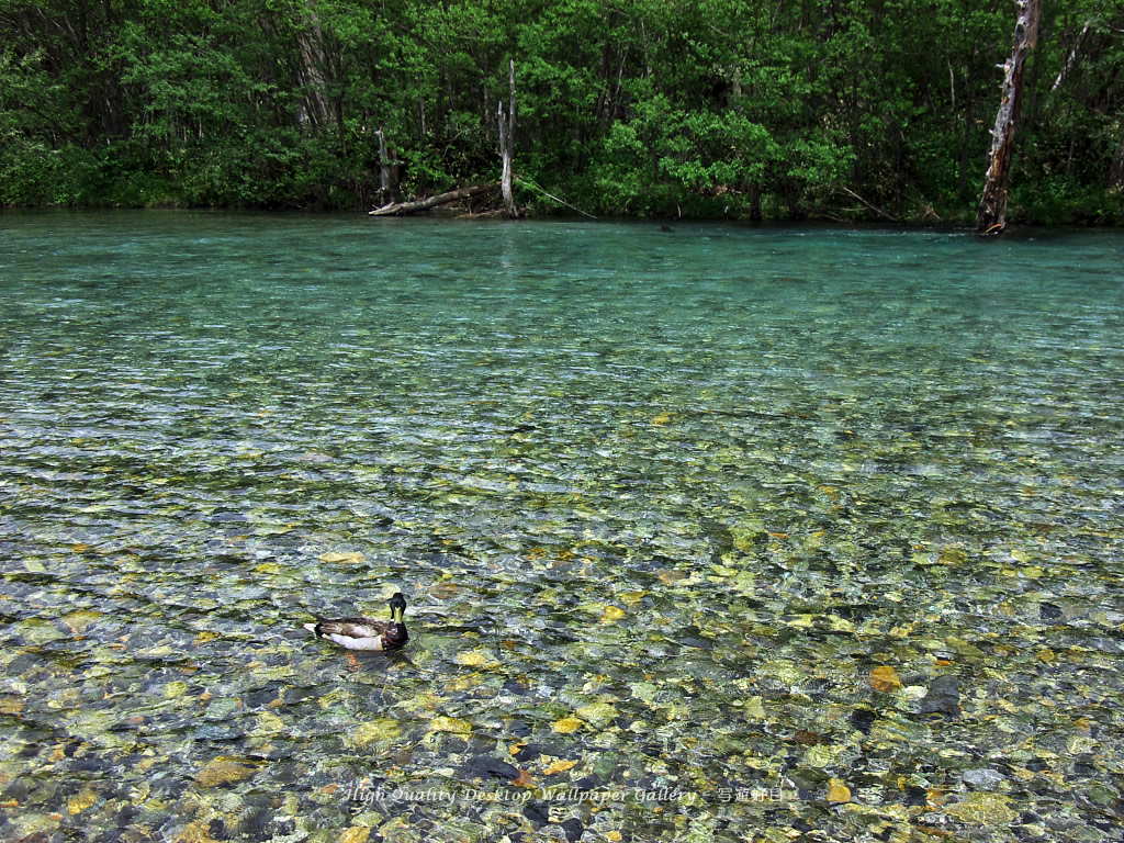 梓川の高画質・高解像度壁紙／Wallpaper of Kamikochi (1024×768)