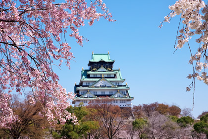 大阪城と桜