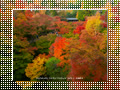 「東福寺の紅葉」のダウンロードページ｜Go to the download page of Autumn in Kyoto (3)