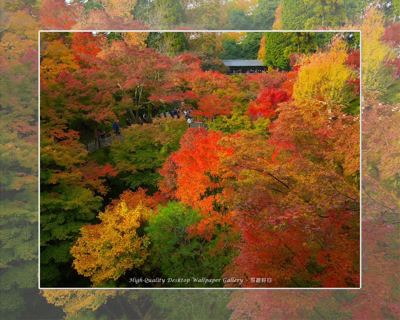 東福寺の紅葉(2)の壁紙/Wallpaper of Kyoto in Autumn (1280×1024)