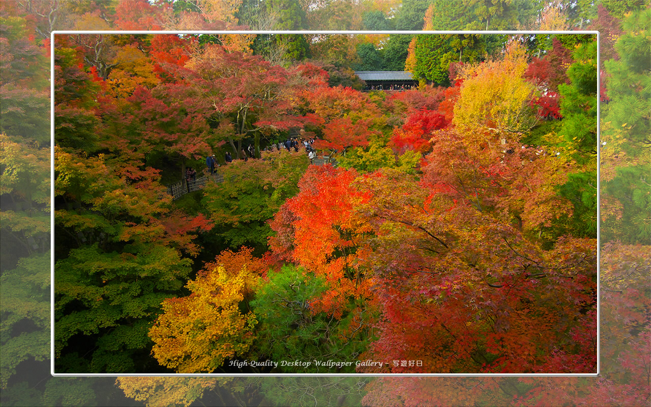 東福寺の紅葉(2)の壁紙/Wallpaper of Kyoto in Autumn (1280×800)