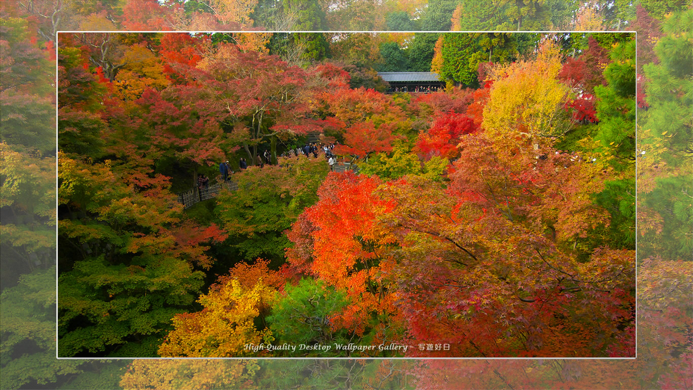 東福寺の紅葉(2)の壁紙/Wallpaper of Title in Kyoto in Autumn (1366×768)