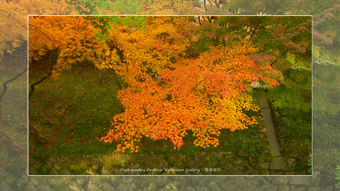 東福寺の紅葉（４）の壁紙／Wallpaper of Title in Kyoto in Autumn (1366×768)