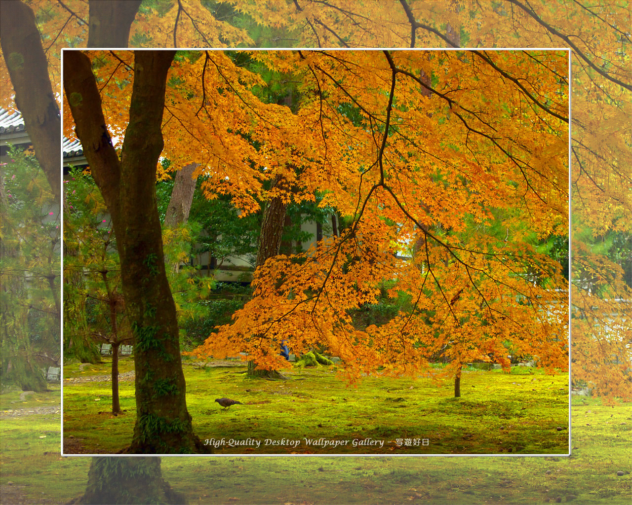 南禅寺(1)の壁紙/Wallpaper of Kyoto in Autumn (1280×1024)