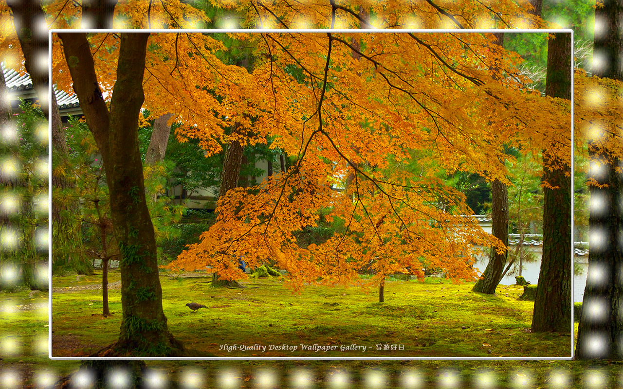 南禅寺（１）の壁紙／Wallpaper of Kyoto in Autumn (1280×800)