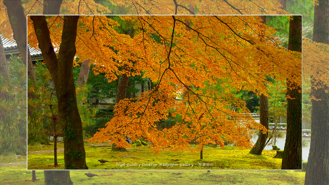 南禅寺(1)の壁紙/Wallpaper of Title in Kyoto in Autumn (1366×768)