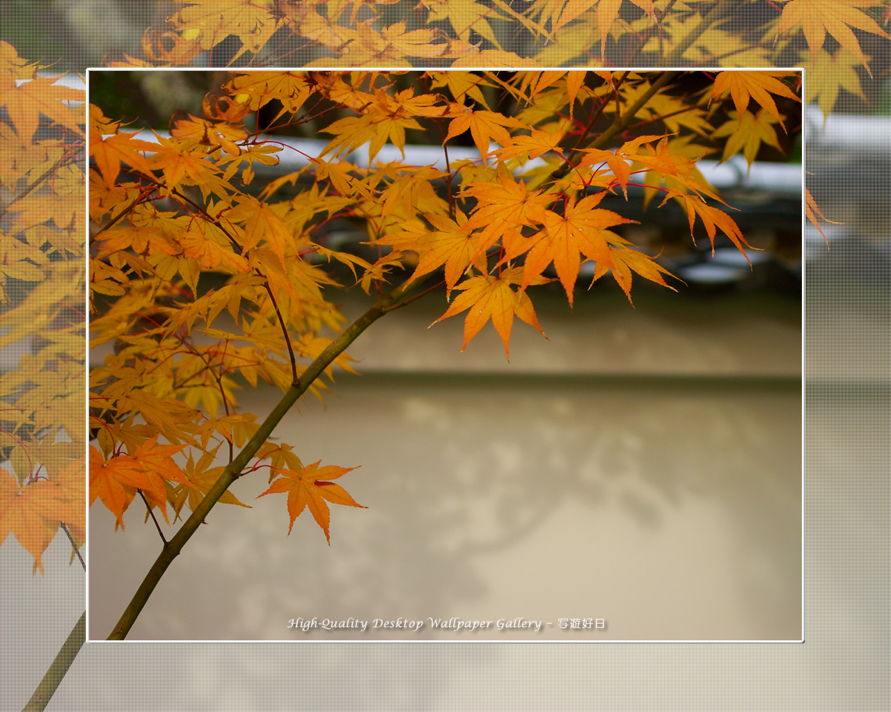 永観堂(1)の壁紙/Wallpaper of Kyoto in Autumn (1280×1024)