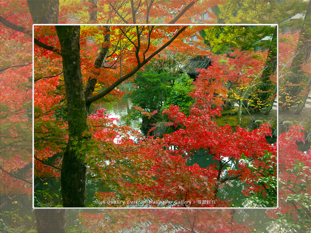 永観堂(2)の壁紙/Wallpaper of Kyoto in Autumn (1024×768)