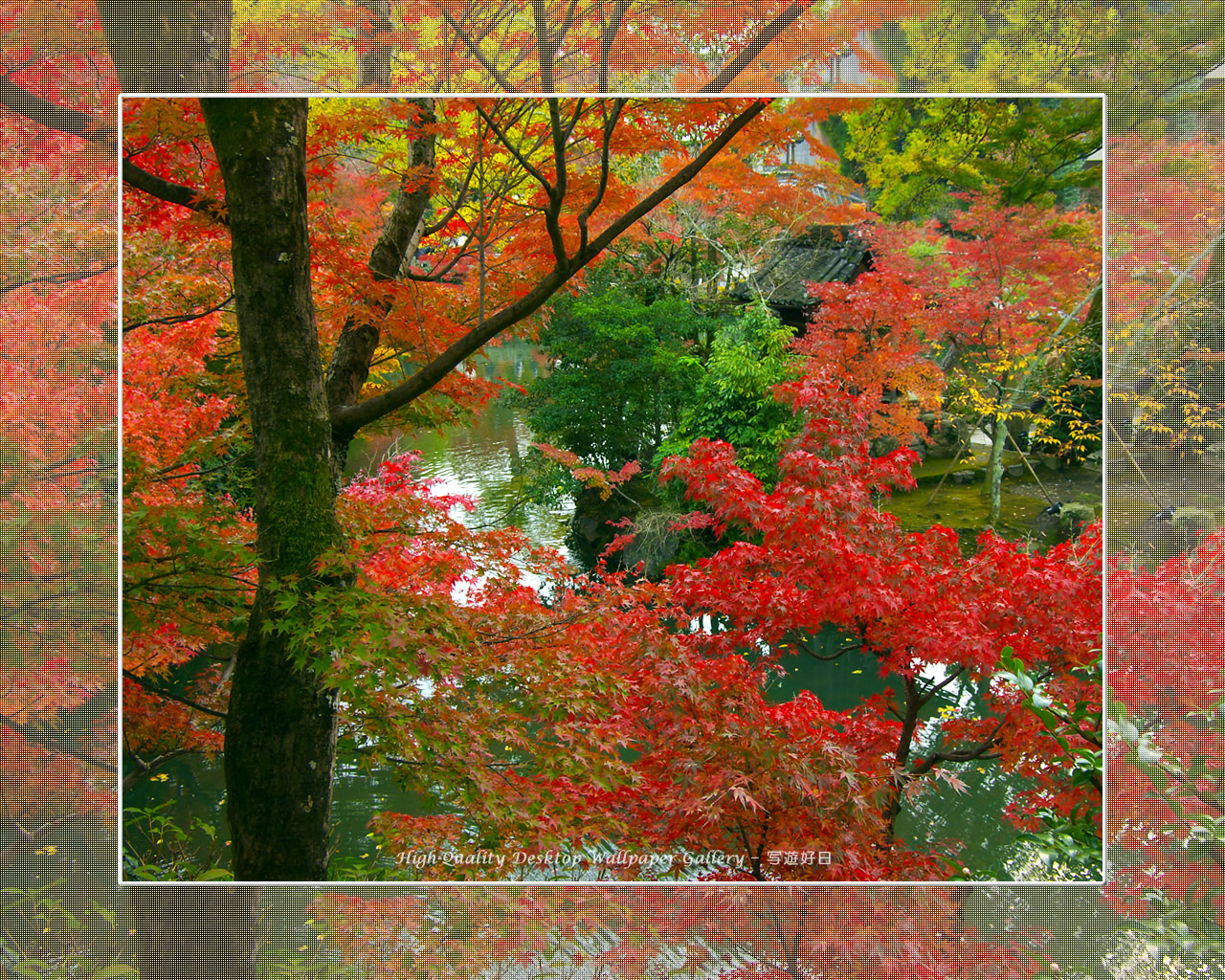 永観堂(2)の壁紙/Wallpaper of Kyoto in Autumn (1280×1024)