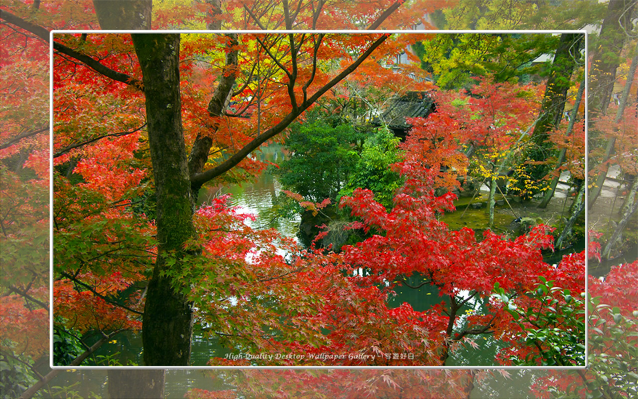 永観堂(2)の壁紙/Wallpaper of Kyoto in Autumn (1280×800)