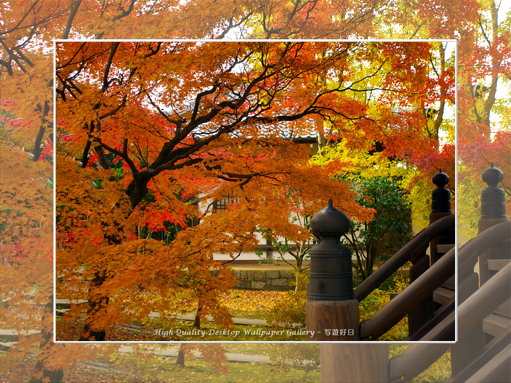 真如堂(1)の壁紙/Wallpaper of Kyoto in Autumn (1024×768)