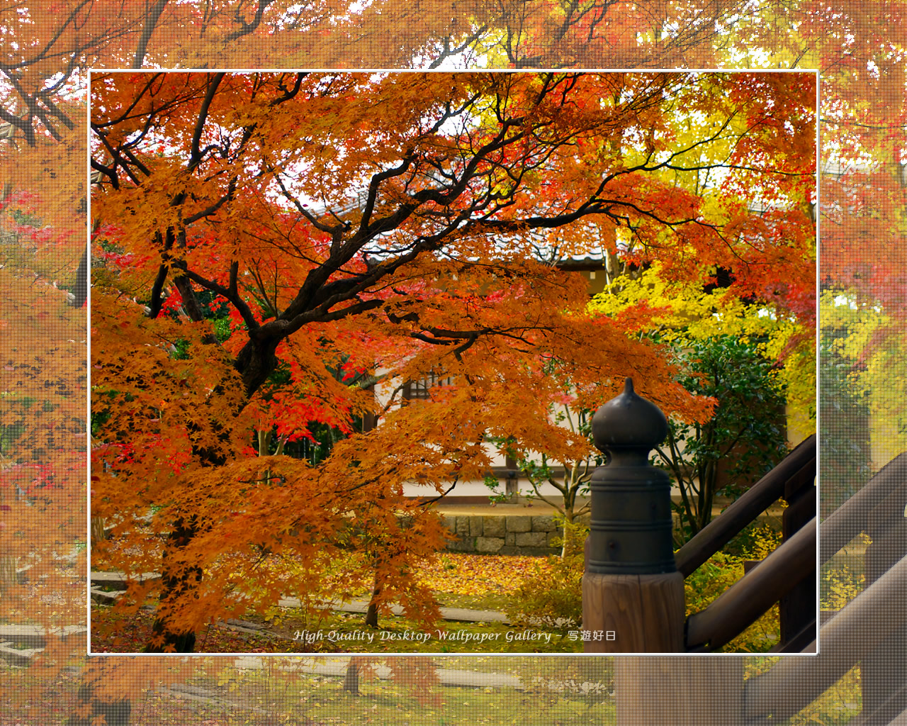 真如堂(1)の壁紙/Wallpaper of Kyoto in Autumn (1280×1024)
