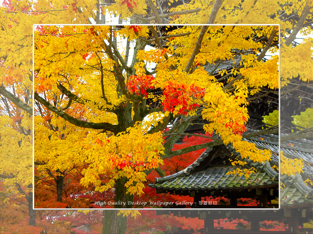 真如堂（３）の壁紙／Wallpaper of Kyoto in Autumn (1024×768)