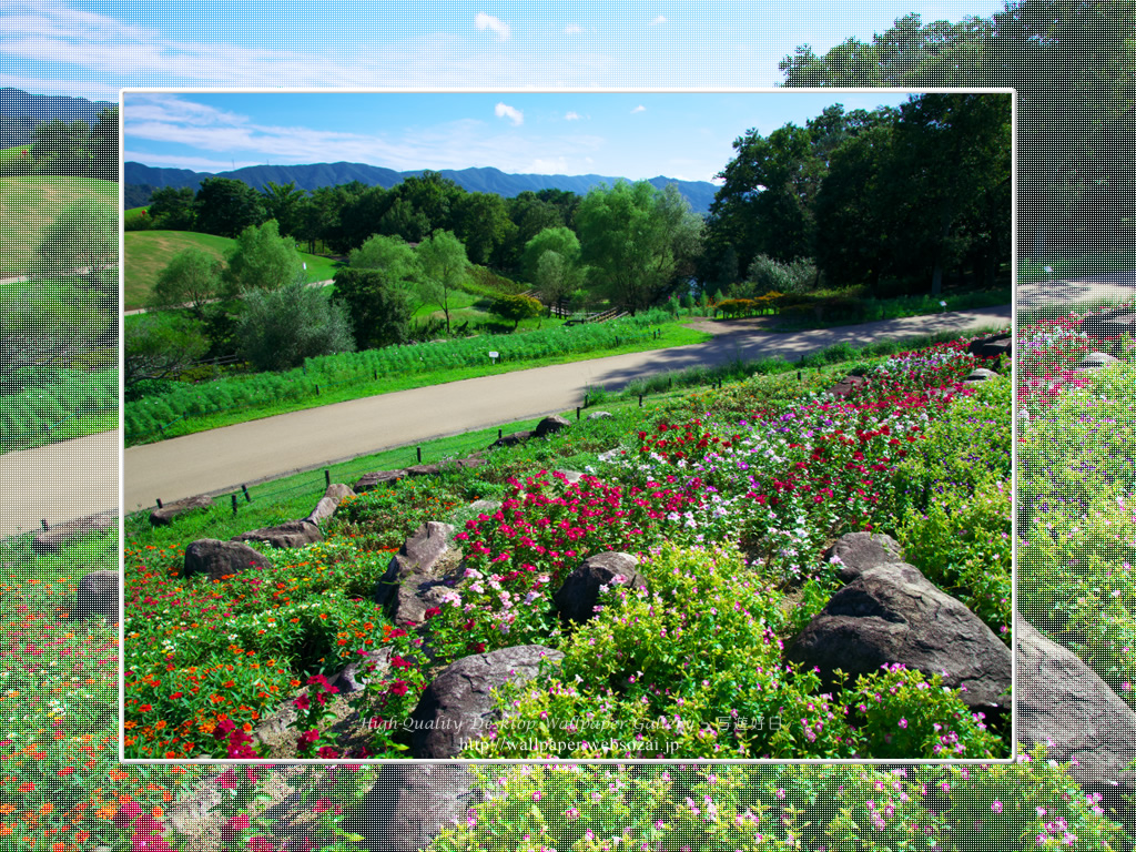 春の大阪城の壁紙／Wallpaper ofまんのう公園｜Kagawa Prefecture (1024×768)