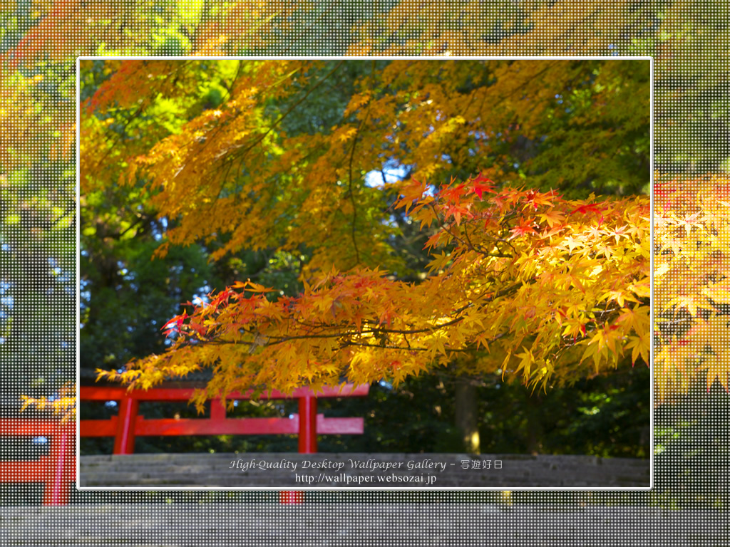 紅葉(霧島神宮)の壁紙/Wallpaper(1024×768)
