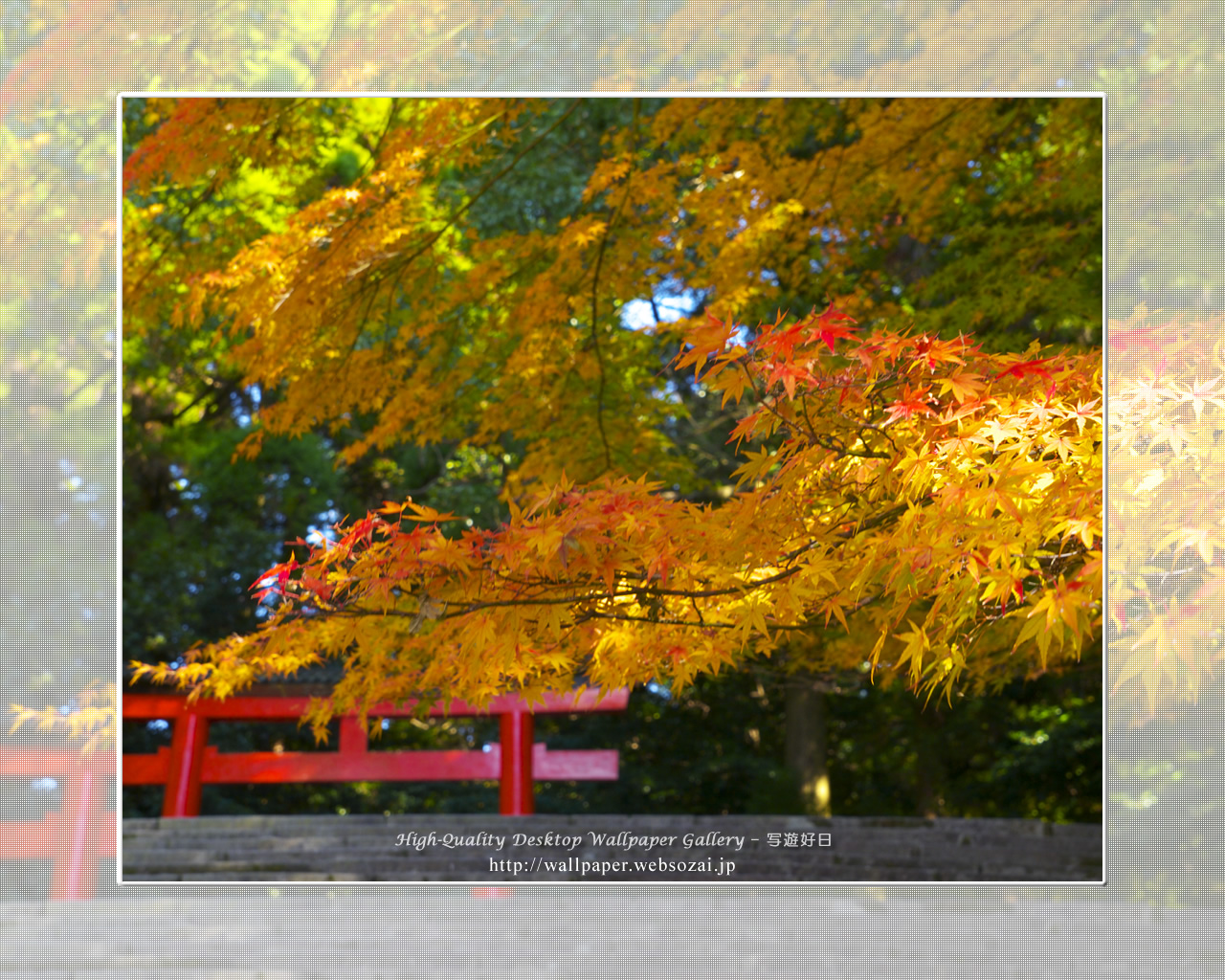 紅葉(霧島神宮)の壁紙/Wallpaper(1280×1024)