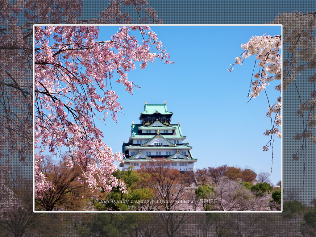 春の大阪城の壁紙/Wallpaper of Osaka Castle in spring (1024×768)