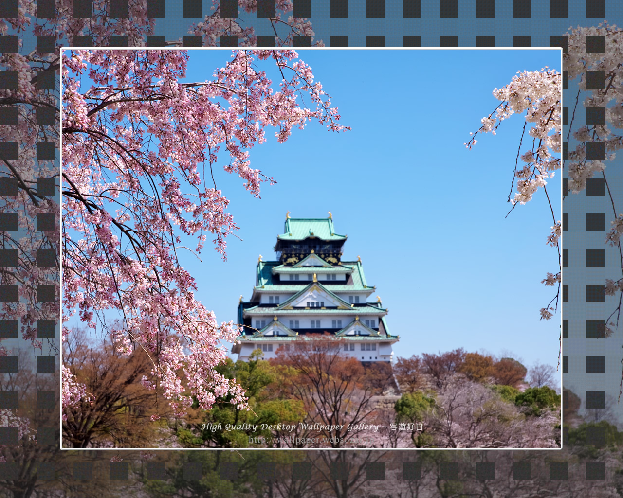 春の大阪城の壁紙/Wallpaper of Osaka Castle in spring (1280×1024)
