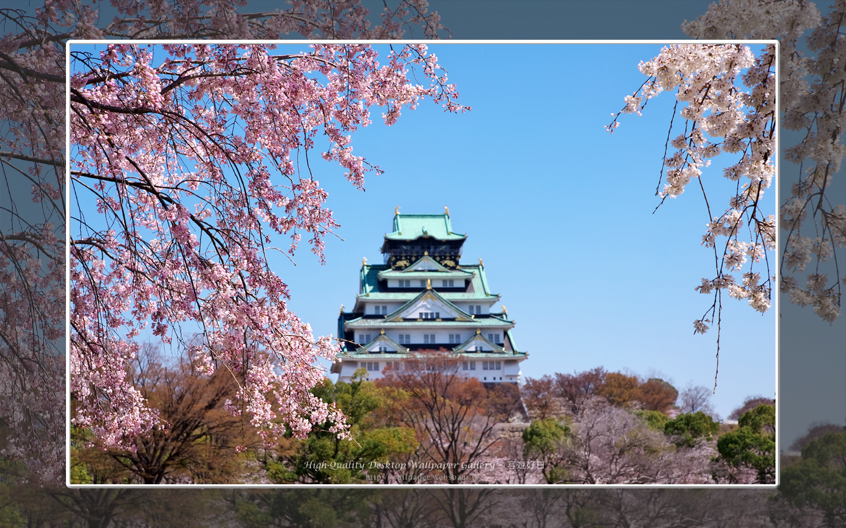 春の大阪城の壁紙/Wallpaper of Osaka Castle in spring (1680×1050)