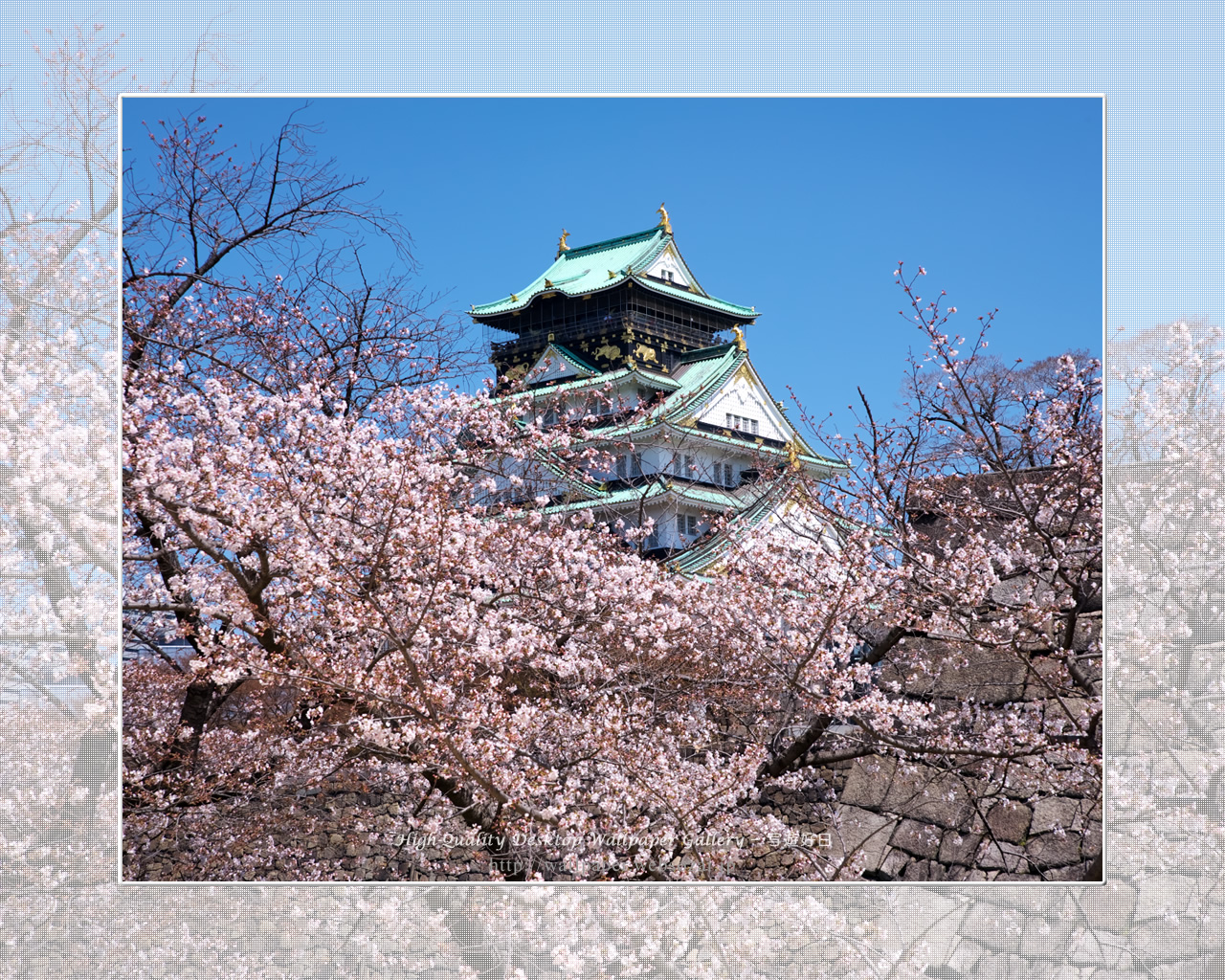 桜と大阪城の壁紙/Wallpaper of Osaka Castle in spring (1280×1024)