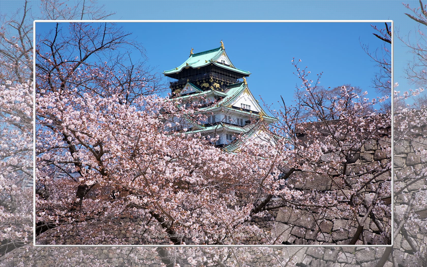 桜と大阪城の壁紙/Wallpaper of Osaka Castle in spring (1680×1050)