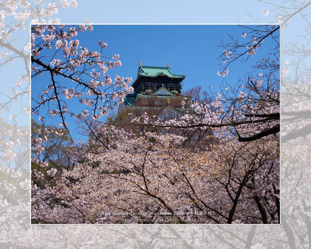 春爛漫の大阪城の壁紙／Wallpaper of Osaka Castle in spring (1280×1024)