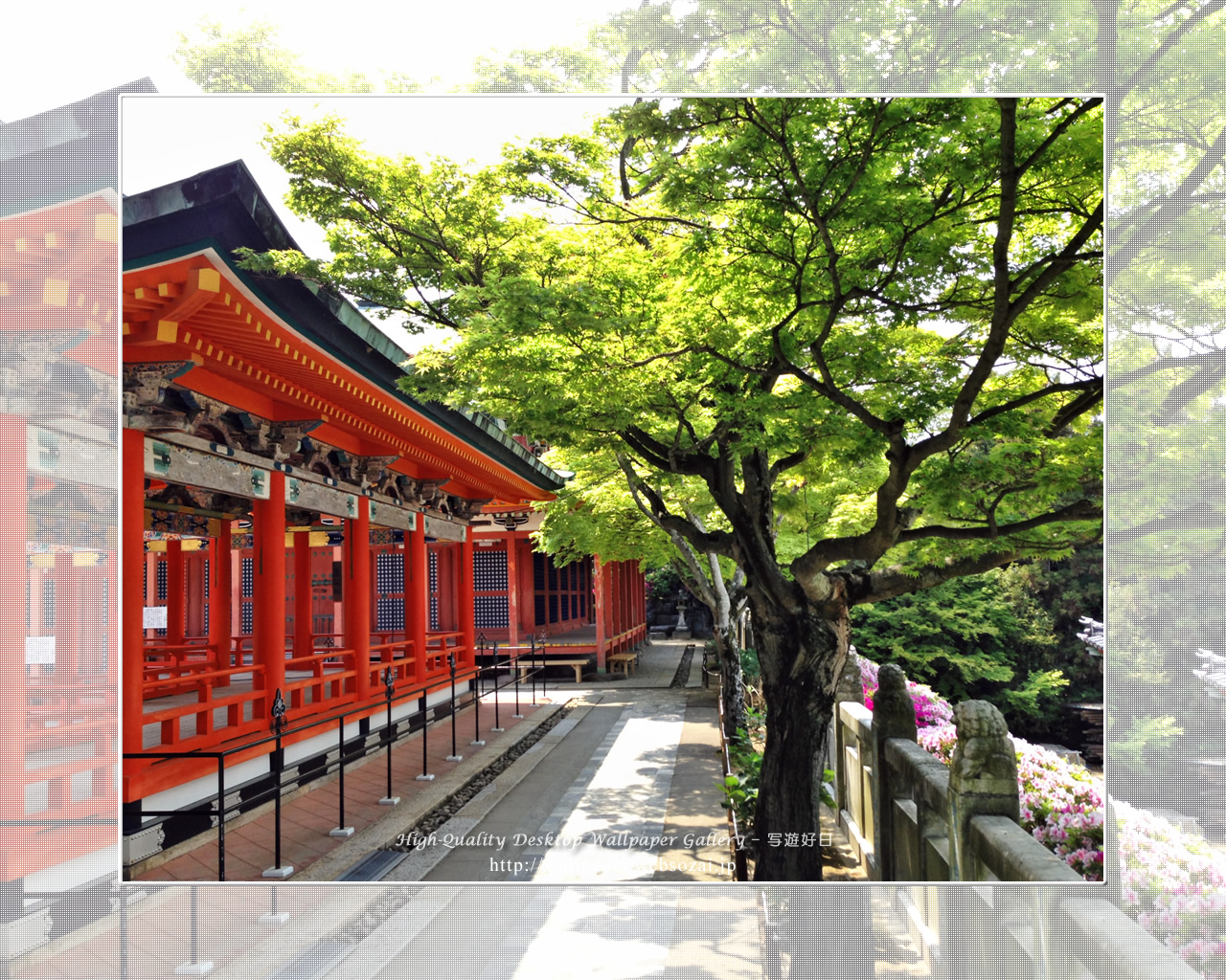 耕三寺の新緑の壁紙／Wallpaper of Kosanji Temple (1280×1024)