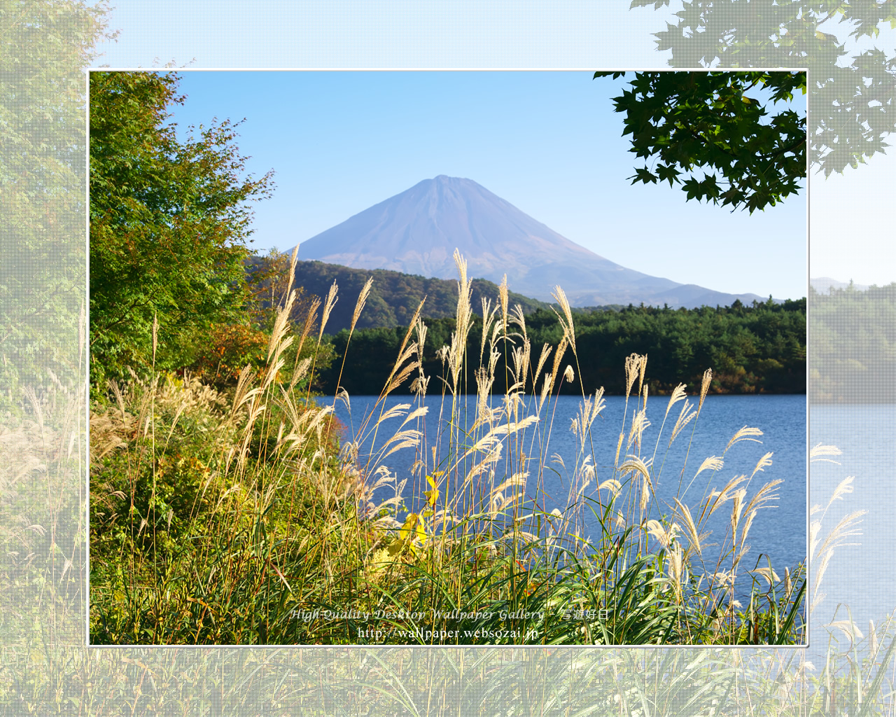 富士山の高画質&高解像度壁紙/Wallpaper of富士山とススキ in Fuji Lake Districti (1280×1024)
