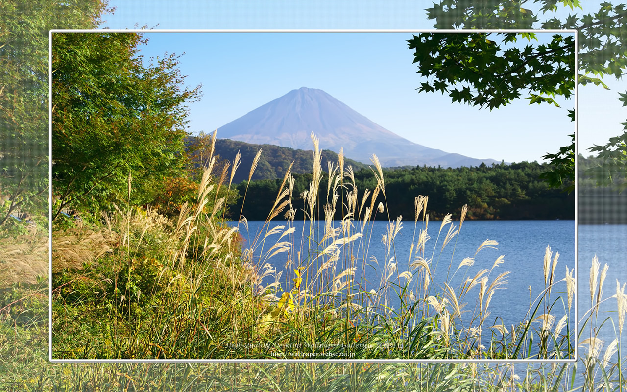 富士山の高画質&高解像度壁紙/Wallpaper of富士山とススキ in Fuji Lake Districti (1280×800)