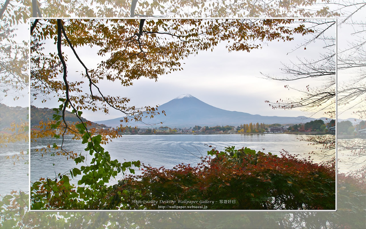 富士山の高画質&高解像度壁紙/Wallpaper of湖畔の秋景 in Fuji Lake Districti (1280×800)