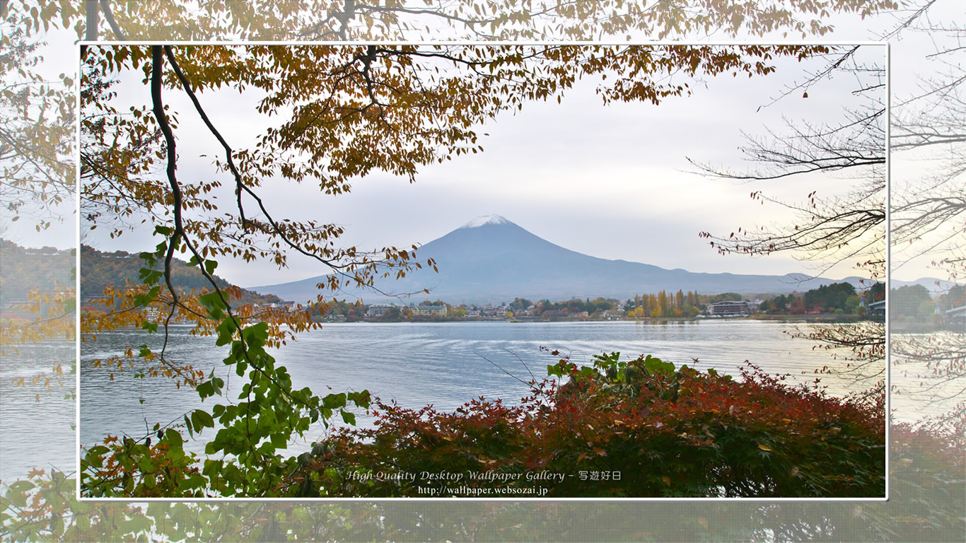 富士山の壁紙／Wallpaper of湖畔の秋景 in Fuji Lake Districti (1366×768)
